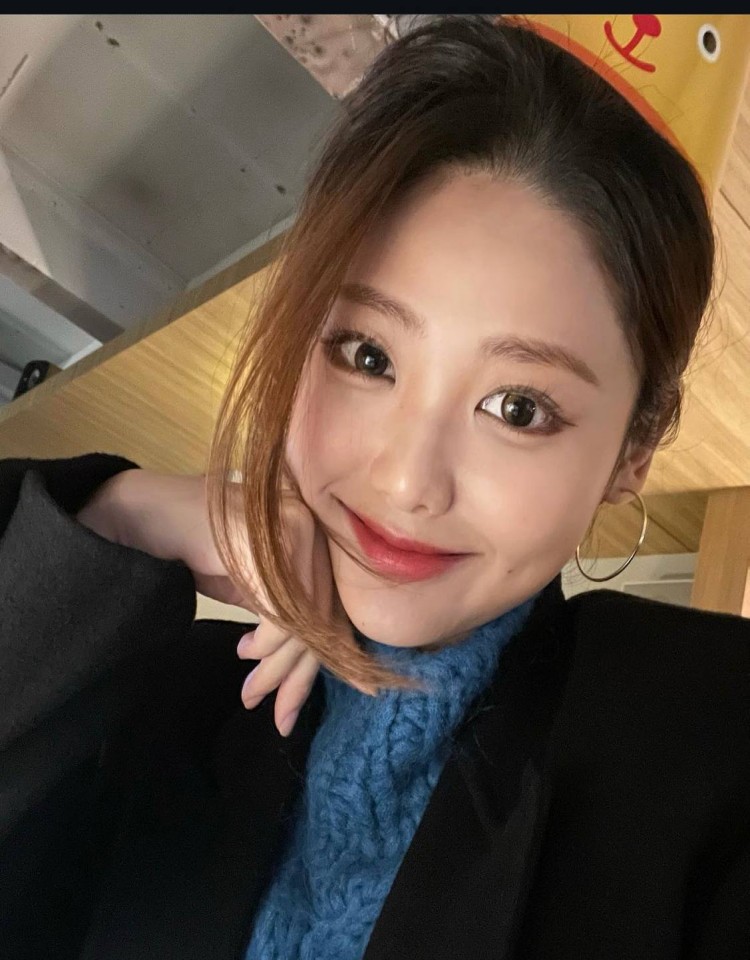 成全免费高清观看在线电视剧大全,高清在线播放